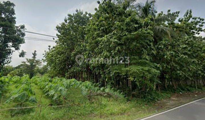 Dijual Tanah Akses Tronton di Purbalingga 1