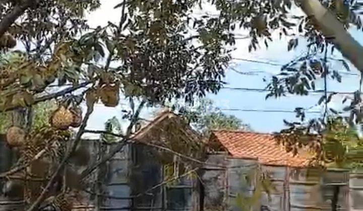 Dijual Tanah Ada Kebun Durian di Daerah Kebanggan Banyumas 1