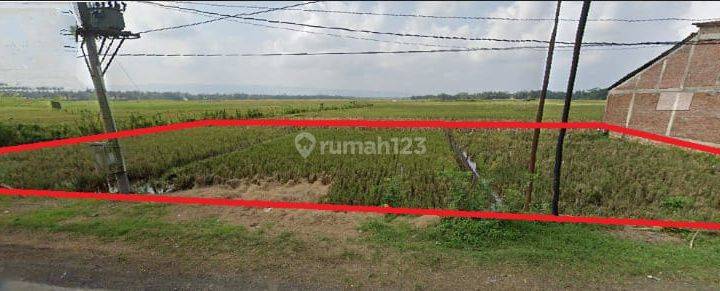 Dijual Cepat Tanah Sawah Akses Mobil di Daerah Gumelar, Banyumas 1