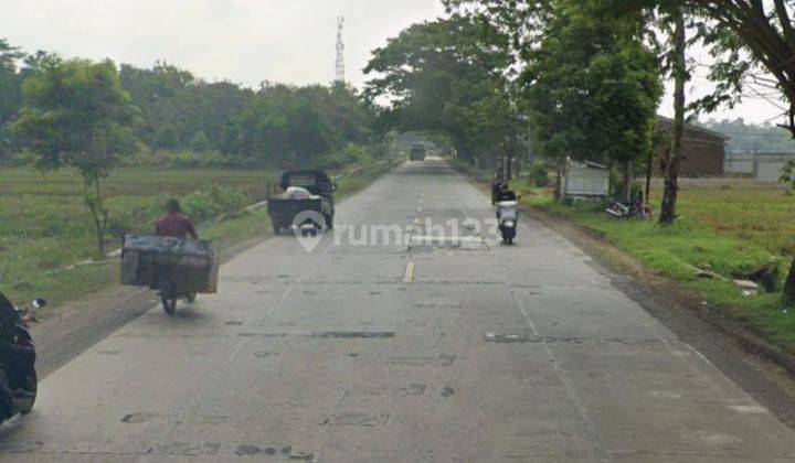 Dijual Cepat Tanah Sawah Akses Mobil di Daerah Gumelar, Banyumas 2