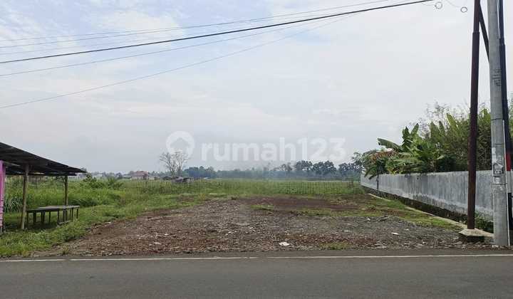 dijual tanah luas di daerah kalikabong purbalingga