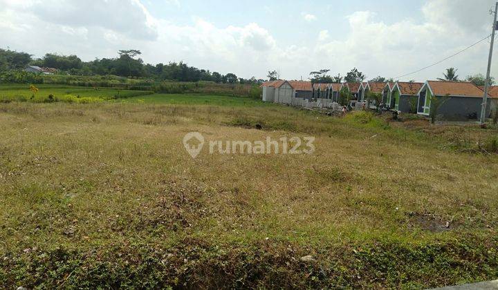 Dijual Tanah Pertanian Akses Mobil di Daerah Padamara Purbalingga 2