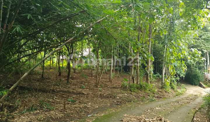 Dijual Tanah Luas Dikalibagor Banyumas