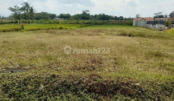 Dijual Tanah Pertanian Akses Mobil di Daerah Padamara Purbalingga 1