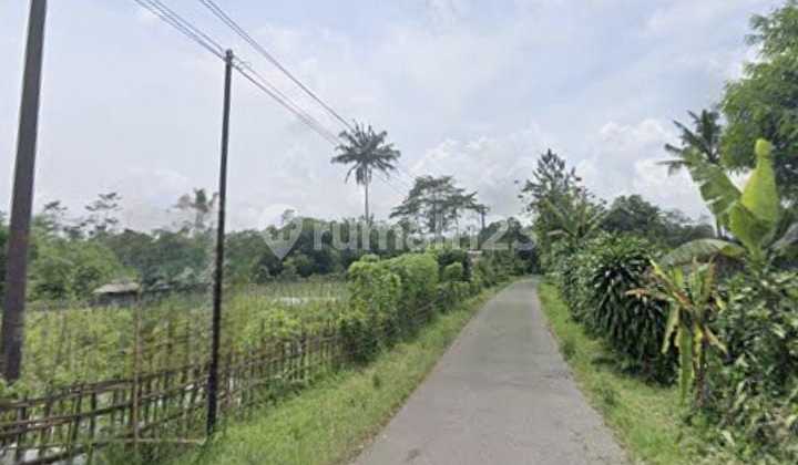 dijual tanah luas daerah limpakuwus