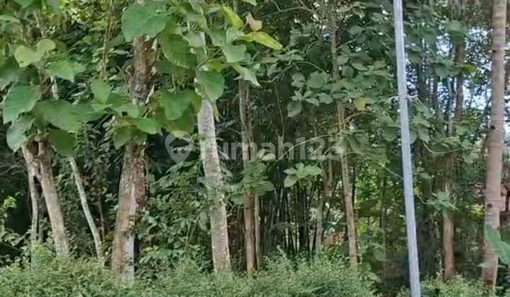 dijual tanah murah di daerah kalibagor banyumas