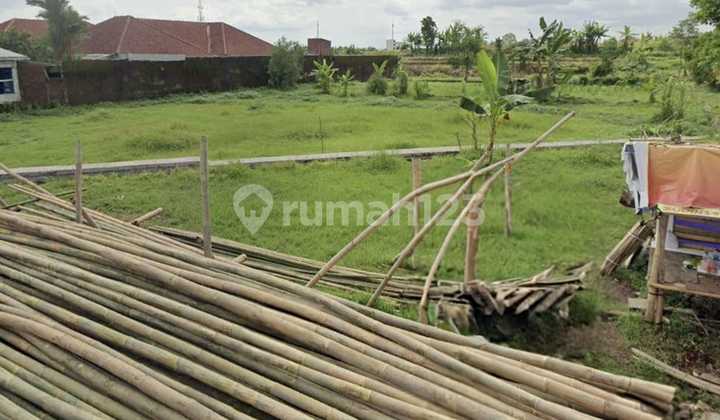 Dijual Tanah Pekarangan Luas di Purwokerto Utara