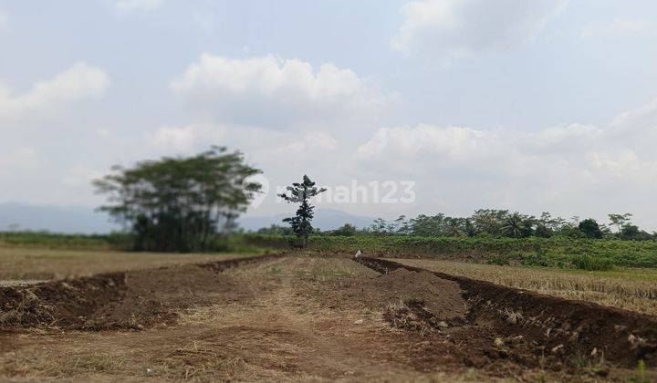 Dijual Tanah Luas Dekat Bandara di Purbalingga 1