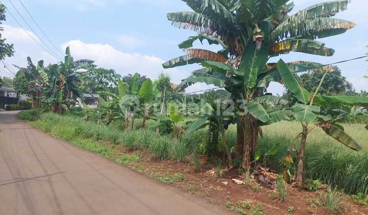 Dijual Tanah SHM Jl Kramat Jalan Baru Leuwinanggung Tapos Dijual Tanah SHM Jl Kramat Jalan Baru Leuwinanggung Tapos