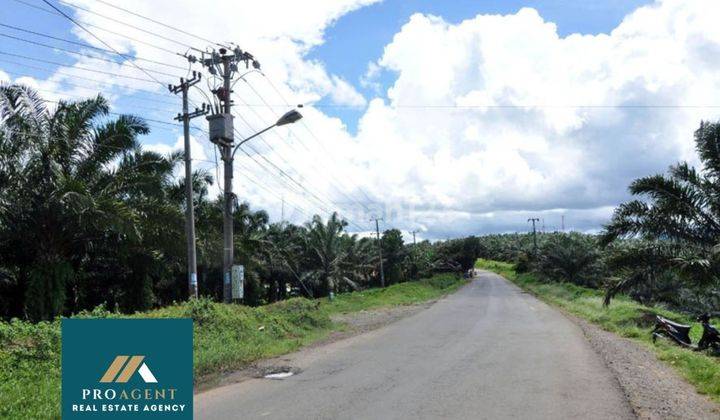 Dijual Tanah Kebun Shm 5,3 Ha Di Cigudeg 1