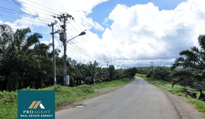 Tanah Perkebunan di Cigudeg SHM Clean Dan Clear