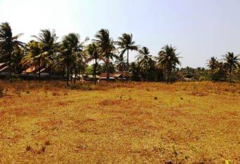 Tanah 7 Ha Sertifikat SHM di Bibir Pantai Ujung Genteng Sukabumi 2