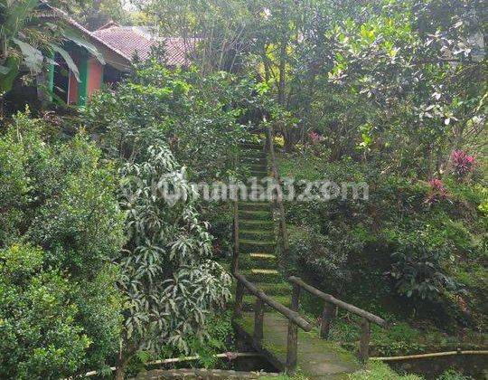 Jual Tanah 1,5 Ha SHM di Cihideung, Cijeruk Bogor 1