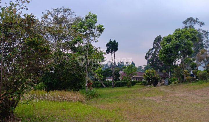 Jual Villa di Cipanas Cianjur Dijual Di Bawah Harga Pasar 2