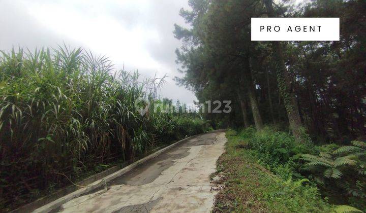 Dijual Tanah Cocok Untuk Resort Atau Villa di Tamansari, Bogor 2