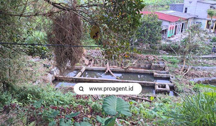 Dijual Tanah Kavling 200 M2 di Cisarua Puncak 2