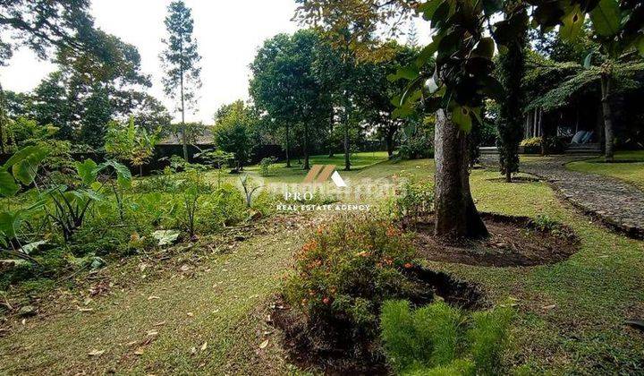 Villa Tepi Danau View Gunung di Ciapus, Bogor 2