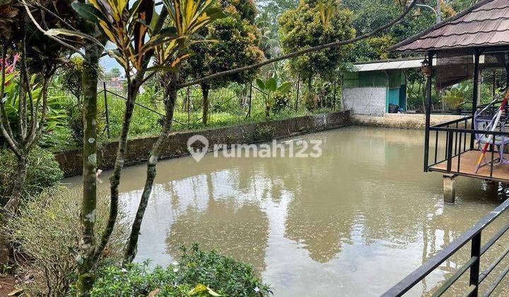 Dijual Tanah 1.100 M2 di Tajur Halang, Bogor 2