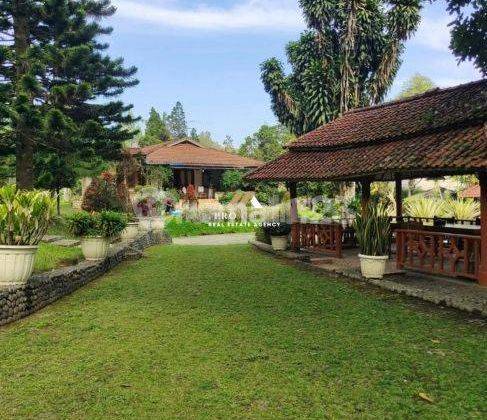 Dijual Villa Fasilitas Kolam Renang di Cisarua Bogor 1