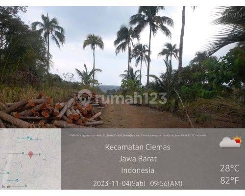 Tanah Kebun Jual Skema Lelang Luas 24 Ha SHM di Ciomas Sukabumi  1