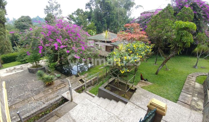 Dijual Villa Luas Tanah 4.781 m2 Surat SHM di Cisarua Bogor