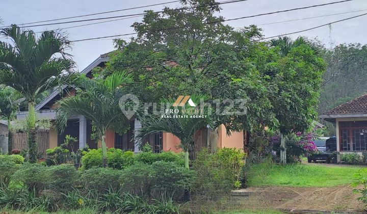 Dijual Rumah Permanen di Atas Lahan 1 HA di Lampung Utara Dijual Rumah Permanen di Atas Lahan 1 HA di Lampung Utara