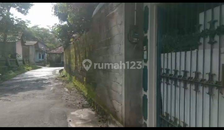 Rumah Besar Dengan Halaman Luas 1