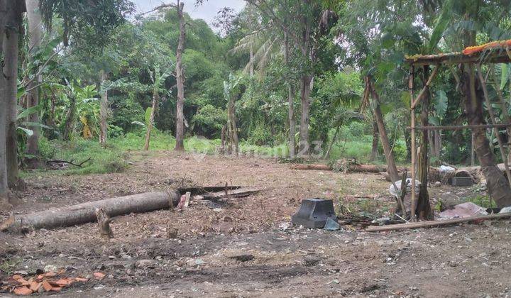 Tanah Bisa Untuk Tempat Tinggal, Gudang Atau Kolam Lele 1