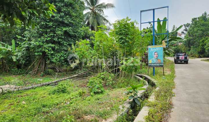 Tanah Pinggir Jalan Tanah Pinggir Jalan