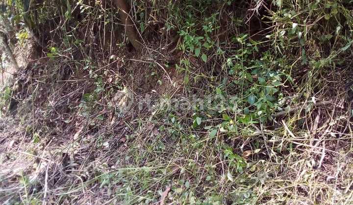 SHM Land by the Roadside