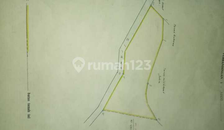 Tanah Kebon 500 M ke Alun2