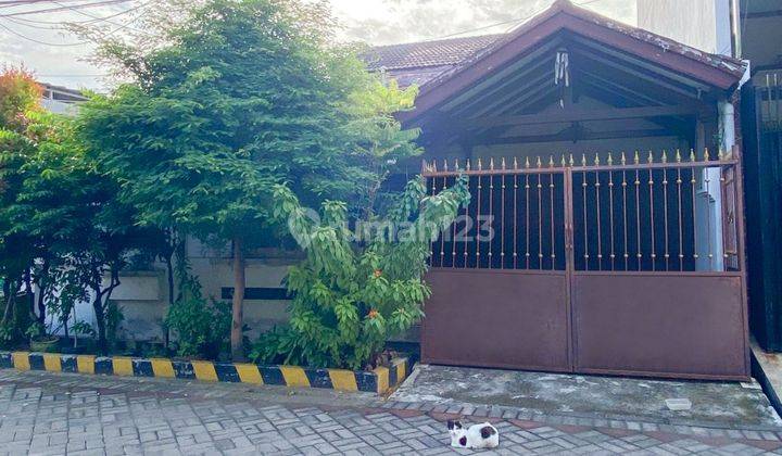 RUMAH SIAP PAKAI DARMO INDAH ROW JALAN LEBAR 1