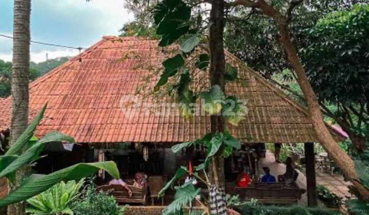 SCARCE CAFE NATURAL ATMOSPHERE NJOP PRICE STRATEGIC LOCATION NEAR CINERE TOLL ACCESS DEPOK SCARCE CAFE NATURAL ATMOSPHERE NJOP PRICE STRATEGIC LOCATION NEAR CINERE TOLL ACCESS DEPOK