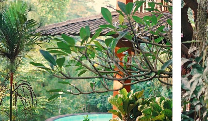 STRATEGIC NATURAL AMBIANCE HOUSE NEAR CINERE DEPOK TOLL ACCESS 2