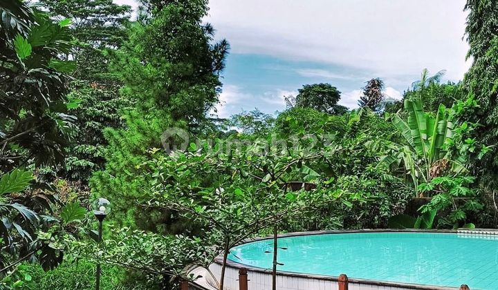 STRATEGIC NATURAL AMBIANCE HOUSE NEAR CINERE DEPOK TOLL ACCESS STRATEGIC NATURAL AMBIANCE HOUSE NEAR CINERE DEPOK TOLL ACCESS