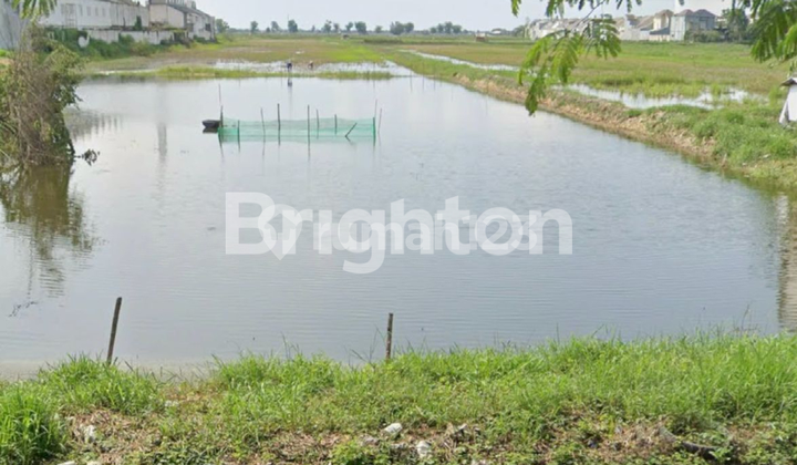 Strategic Pond Land in Dahanrejo, Gresik