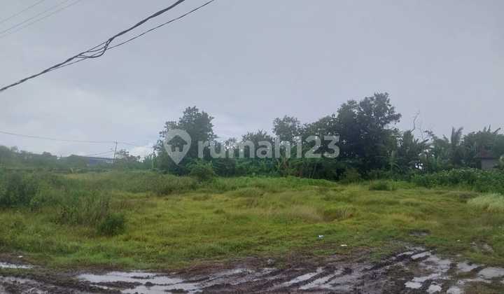 Tanah Tigaraksa 100 Hektar SHM Tanah Tigaraksa 100 Hektar SHM