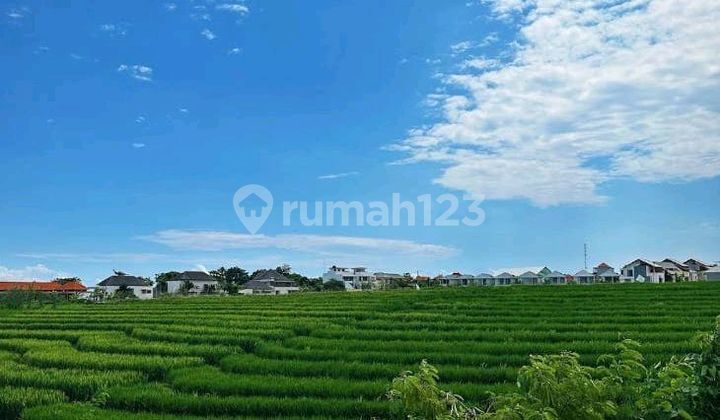 Vila Canggu Bali Shm View Sawah Vila Canggu Bali Shm View Sawah