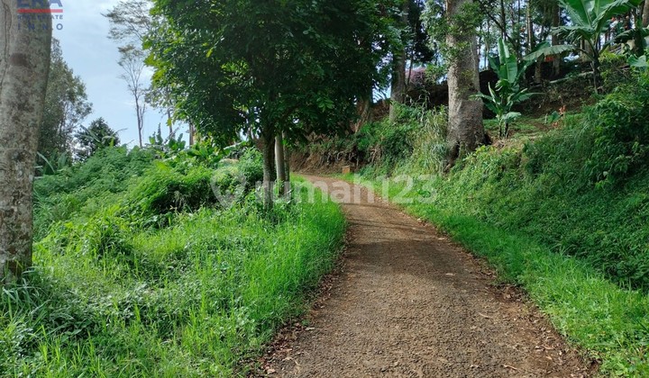 Tanah View Menawan Mekarmanik Cimenyan Oray Tapa Bandung