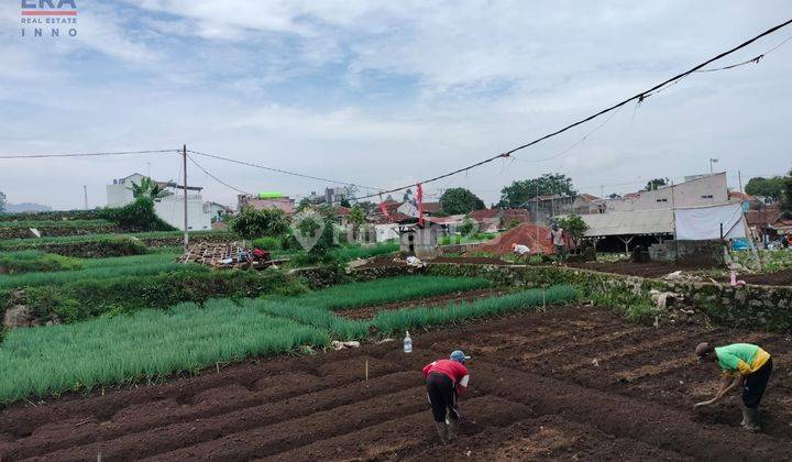 Tanah Sawah Simpang Kenden Penundaan Ciwidey Bandung 2