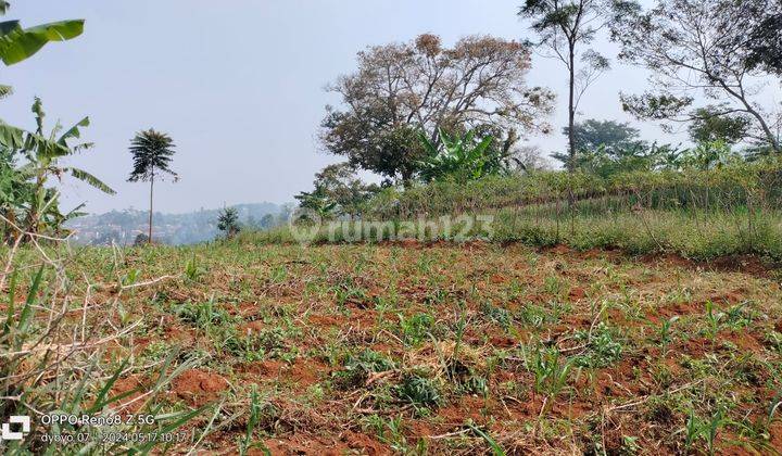 Tanah Premium di Lokasi Strategis Dengan Udara Sejuk Pegunungan di Cimenyan Kabupaten Bandung 2