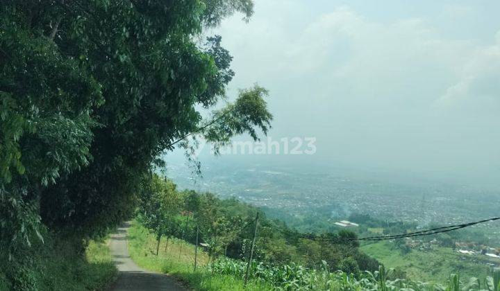 Tanah Lereng Pegunungan Pananjung Cangkuang Bandung Barat 1