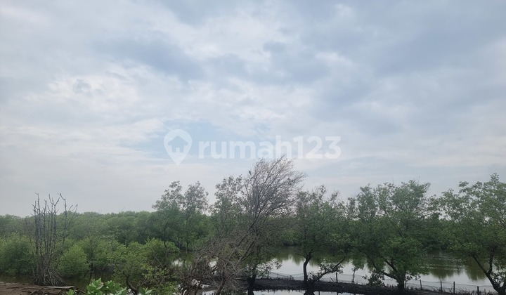 Warehousing Plots can be used for Industry 2