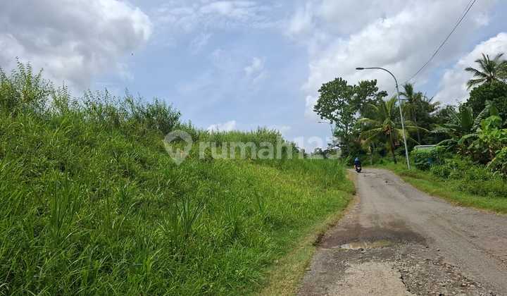 Tanah Pekarangan 500 Meter Dari Jalan Raya Utama Kulon Progo, Yogyakarta Cocok Untuk Resto, Guesthouse,villa. 1