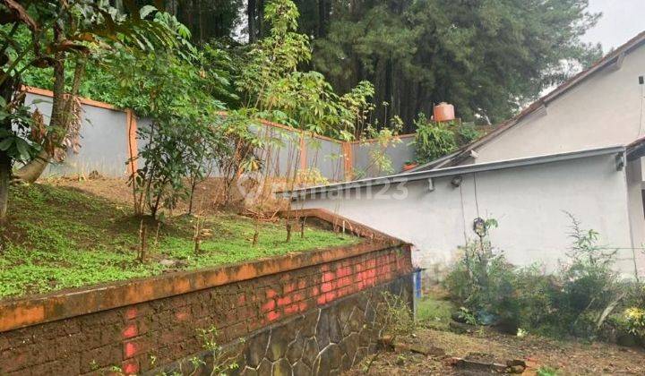 Dijual Rumah Tua di Sempur Kaler Kota Bogor Dekat Istana Kepresidenan Ri  2