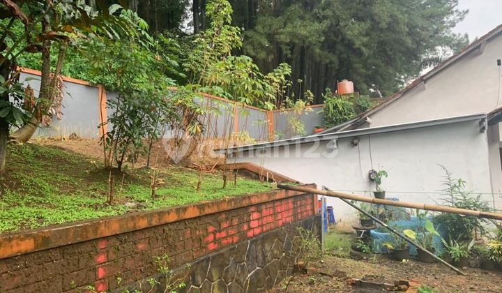 Dijual Rumah Tua di Sempur Kaler Kota Bogor Dekat Istana Kepresidenan Ri  6