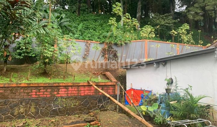 Dijual Rumah Tua di Sempur Kaler Kota Bogor Dekat Istana Kepresidenan Ri  7