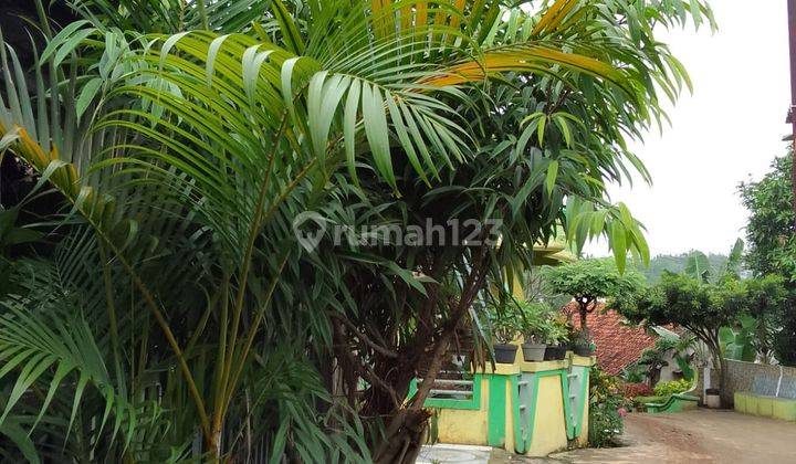 Dijual Rumah Plus 2 Kontrakan Di Nagrog,kemang Bogor 2