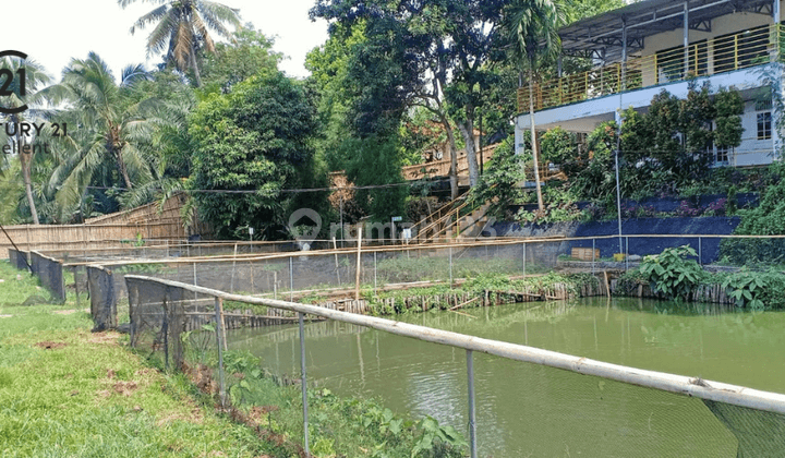 Dijual Rumah Dan Empang di Desa Parigi Ciseeng Bogor 2