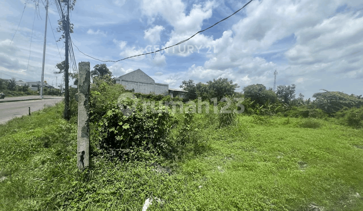 Dijual Cepat Tanah Luas Cocok untuk Usaha di Jalur Pantura